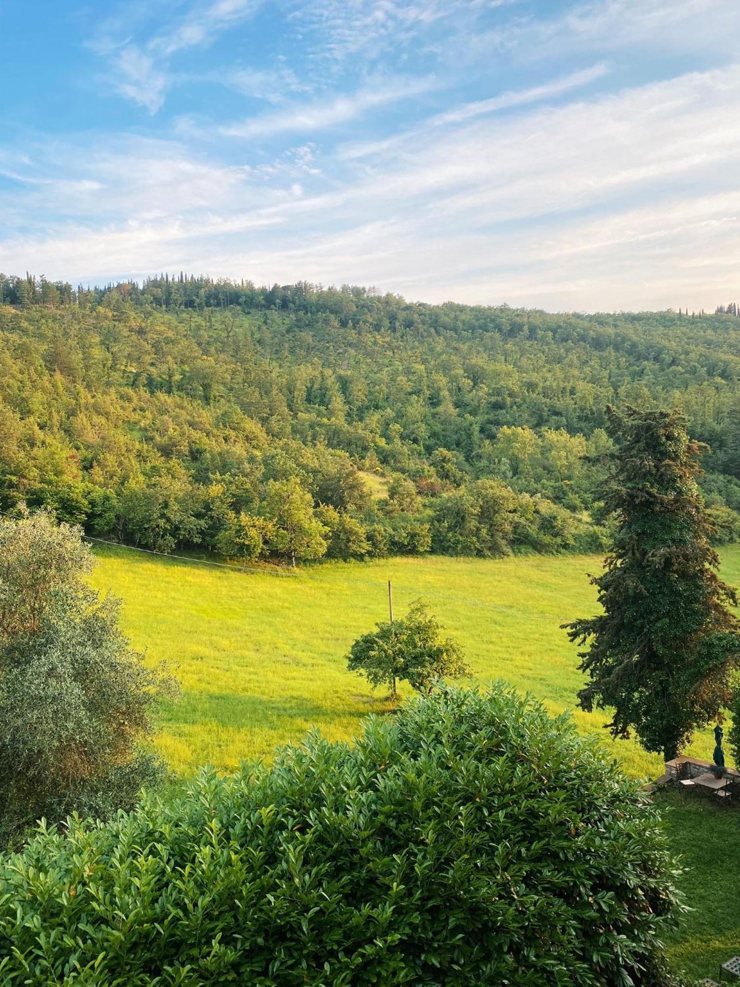 Tenuta Di San Giusto Apartment Gaiole in Chianti Bagian luar foto